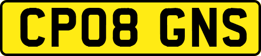 CP08GNS