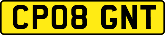 CP08GNT