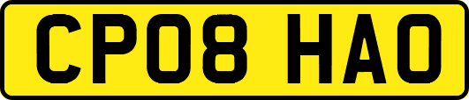 CP08HAO