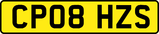 CP08HZS