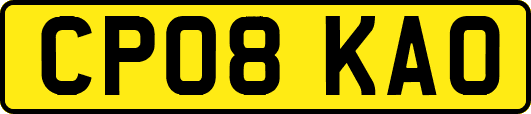 CP08KAO