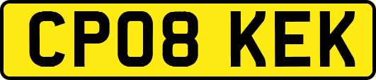 CP08KEK