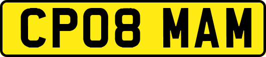 CP08MAM