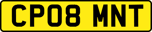 CP08MNT