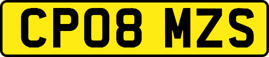 CP08MZS