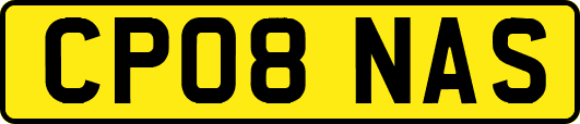 CP08NAS