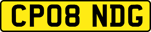 CP08NDG