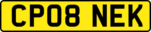 CP08NEK