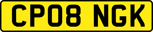 CP08NGK