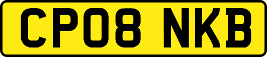 CP08NKB