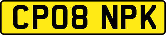 CP08NPK