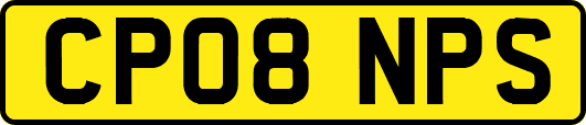 CP08NPS