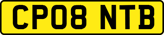 CP08NTB