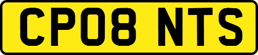 CP08NTS