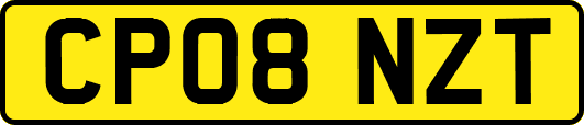 CP08NZT