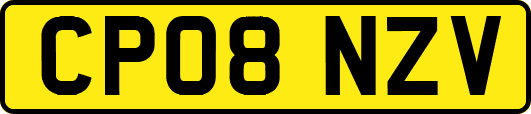 CP08NZV