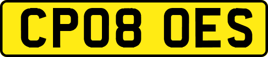CP08OES