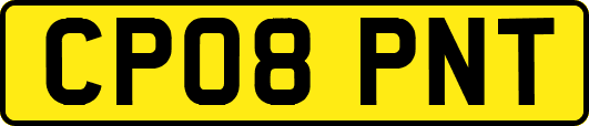 CP08PNT