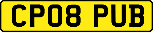 CP08PUB