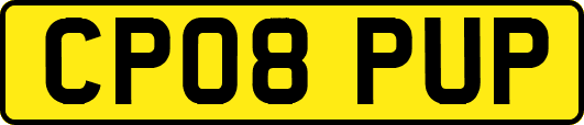 CP08PUP