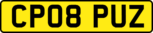 CP08PUZ