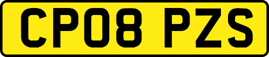 CP08PZS