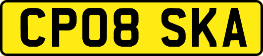 CP08SKA