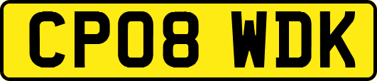 CP08WDK