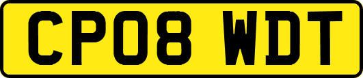 CP08WDT
