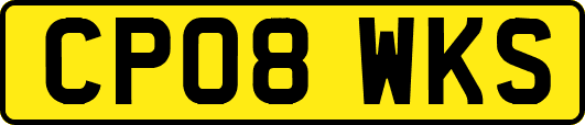 CP08WKS