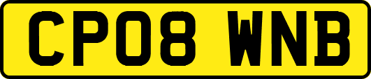 CP08WNB