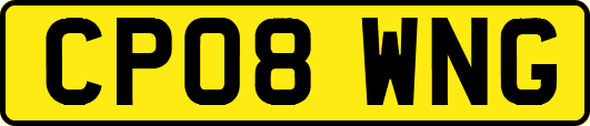 CP08WNG
