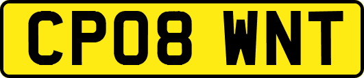 CP08WNT