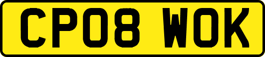 CP08WOK