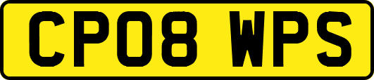 CP08WPS