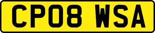 CP08WSA