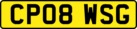 CP08WSG