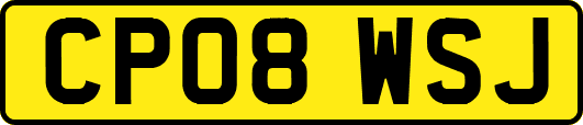 CP08WSJ