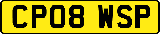CP08WSP