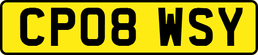 CP08WSY