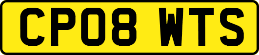 CP08WTS