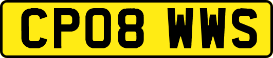 CP08WWS