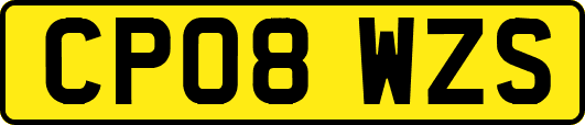 CP08WZS