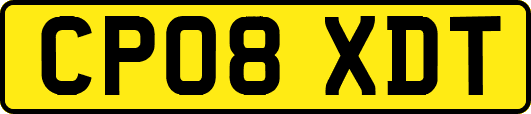 CP08XDT
