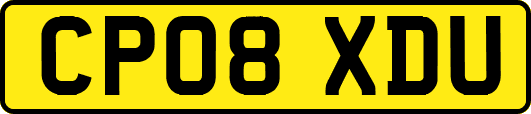 CP08XDU