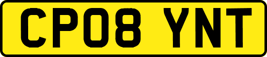 CP08YNT