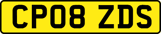 CP08ZDS