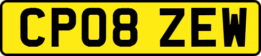 CP08ZEW