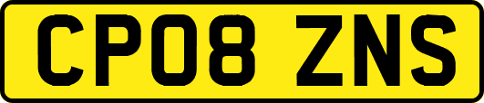 CP08ZNS