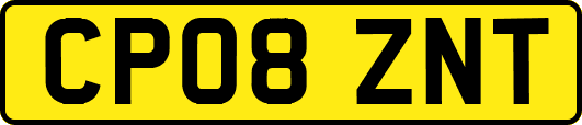 CP08ZNT